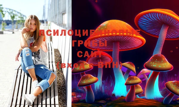 гашик Кукмор