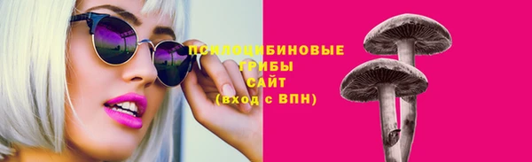 гашик Кукмор