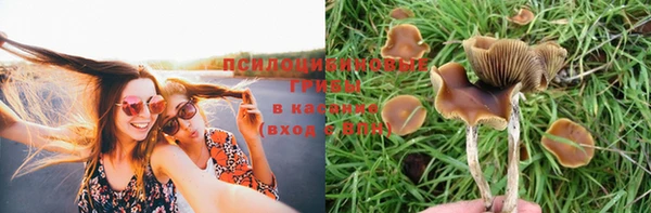 прущие крисы Беломорск